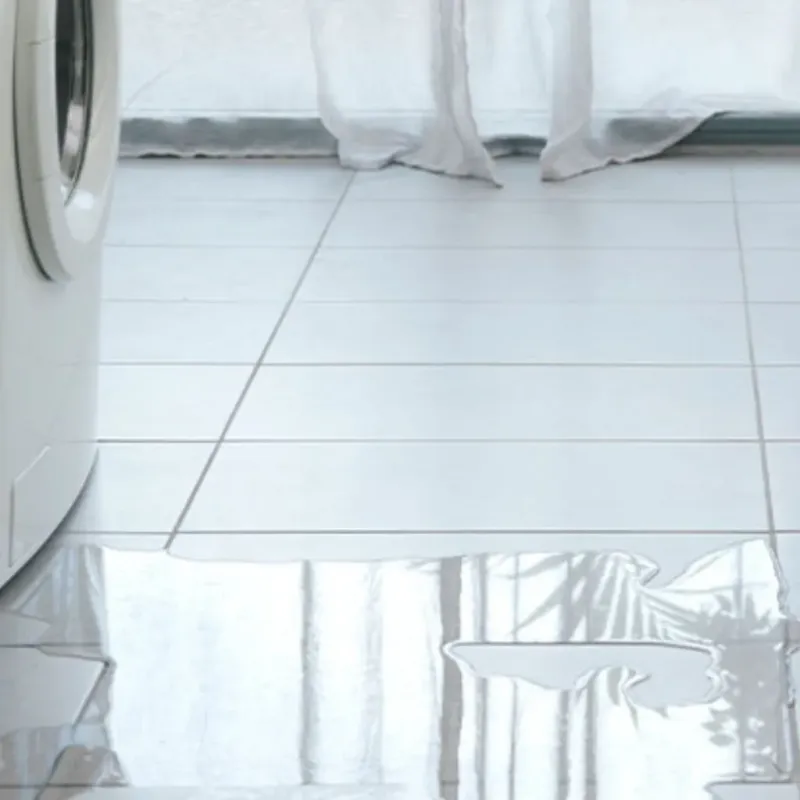 Appliance Leak Cleanup in Rogue River, OR